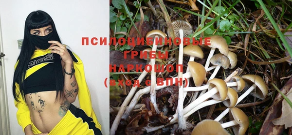 ПСИЛОЦИБИНОВЫЕ ГРИБЫ Алексеевка