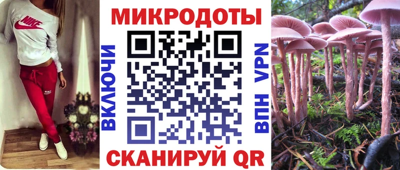 Галлюциногенные грибы Cubensis  Якутск 