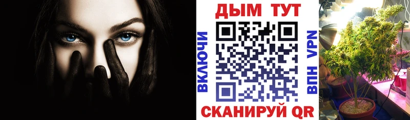МАРИХУАНА планчик  Якутск 
